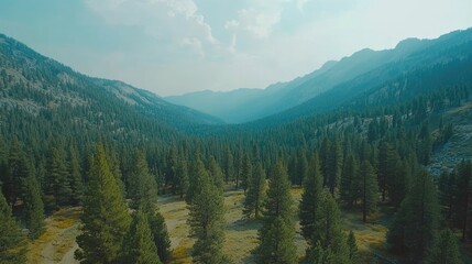 Expansive mountain valley framed by dense evergreen forests.