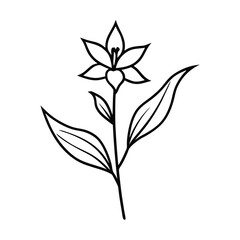 Minimalist Ink Drawing of Cardinal Flowers