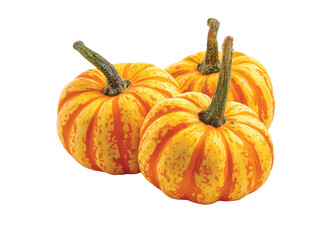 Fototapeta premium Vegetable pumpkin isolated on transparent or white background, Clipping Path ,png 