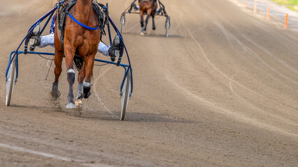 Equestrian sport. A horse and cart on a hippodrome track. Copy space