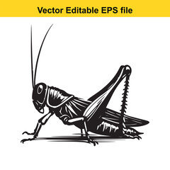 Detailed Vector Illustration of a Grasshopper in Black and White An Intricate Depiction of Nature's Winged Insect
