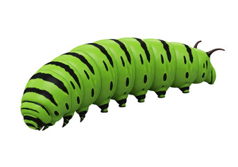 Isolated Green Caterpillar with Black Stripes