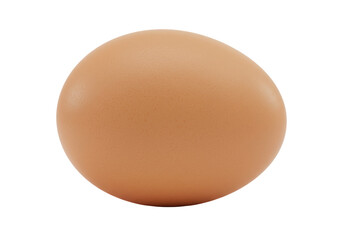 Isolated Brown Chicken Egg