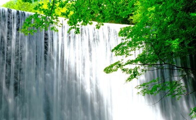 巣栗渓谷の景色