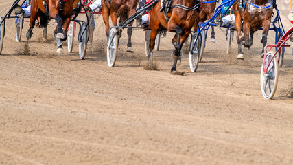 Equestrian sport. Horses compete in harness racing. Copy space