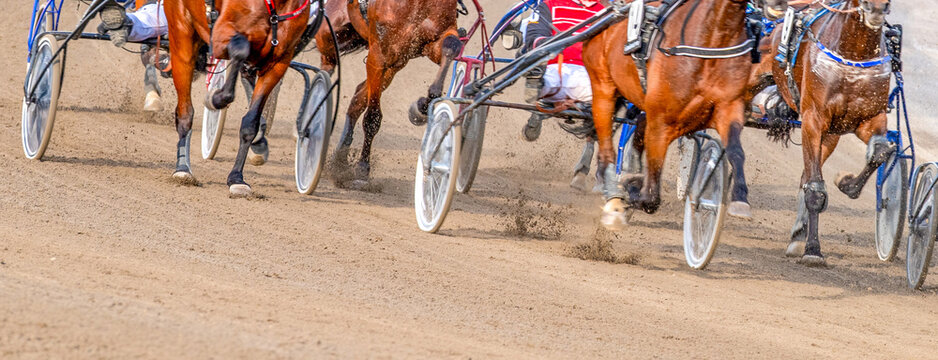 Equestrian sport. Horses compete in harness racing. Copy space