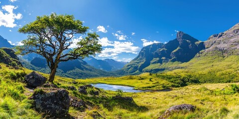 A vibrant landscape featuring a lone tree, grassy fields, rocky terrain, and towering mountains under a bright blue sky with scattered clouds.