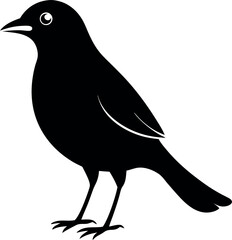 myna bird silhouette 