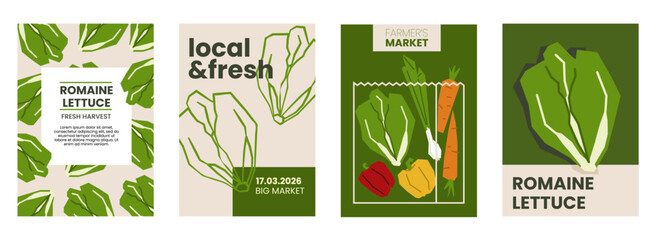 Fresh romaine lettuce illustration. Simple posters with cabbage vegetable for farmers market. Vector templates with copyspace. Set of harvested salad vegetables in minimal hand drawn and flat style.