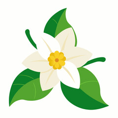 yellow flower isolated on white background