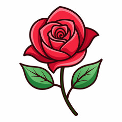 red rose vector illustration