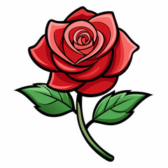 red rose isolated on white background