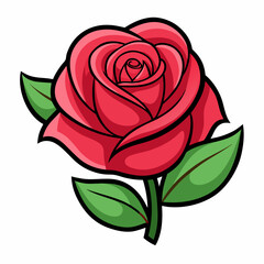 red rose isolated on white