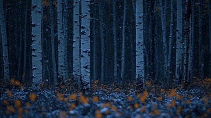 Snowy twilight in an aspen grove, orange ground cover visible