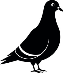 pigeon bird silhouette 
