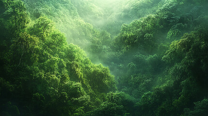 Luminous Canopy A Verdant Forest Bathed in Morning Mist