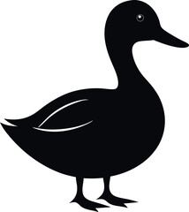 vector illustration of a duck