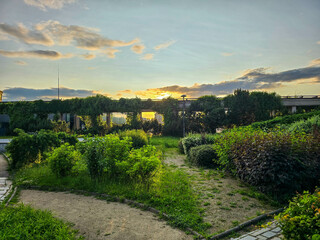 Lush Garden Greenery Bushes and Trees