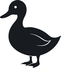 duck vector illustration