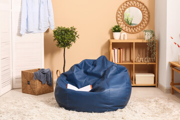 Interior of modern living room with bean bag chair