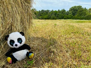 Straw bale teddy bears.