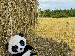 Straw bale plush teddy bears.