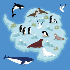 Seascape with sea animals and penguins. Vector illustration.