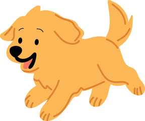 Golden Retriever Puppy