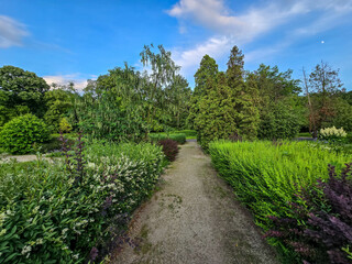 Lush Garden Greenery Bushes and Trees