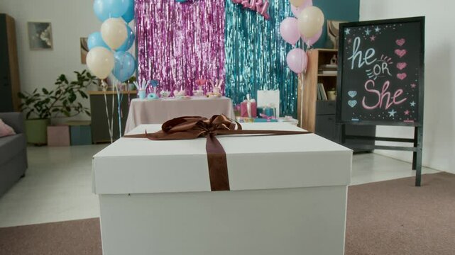 No people zoom-out shot of living room at family home with stylish blue and pink decorations for gender reveal party. Large cardboard box standing in middle of room, prepared for surprise announcement