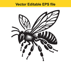 Detailed Black and White Illustration of a Bee with Intricate Wing Veins and Segmented Abdomen, Perfect for Vector Design Projects