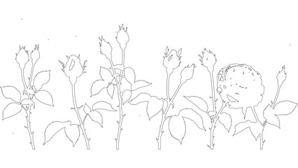 Rosebud Outline Drawing with Detailed Petals