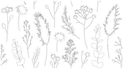 Nature-inspired Floral Line Art Designs for Printing