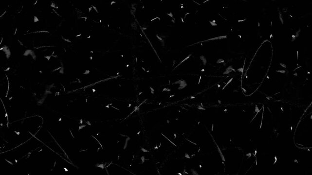 dust and scratches structure pattern overlay, crayon pencil stop motion