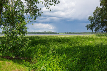Lake view at the Burtnieku lake in summer in June shortly before rain in Latvia
