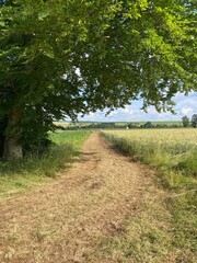 Promenade autour du plan d'eau de la Samaritaine à Buzancy en France