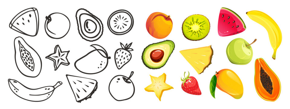 Set of tropical fruits. Watermelon, papaya, pineapple, etc. Fruits and berries outline set. Vector illustration of exotic fruits on white background.