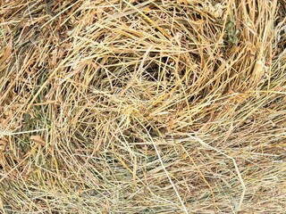 Straw.