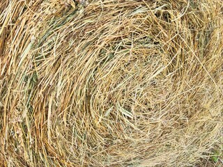 Straw.