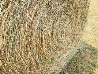 Straw bale spiral.