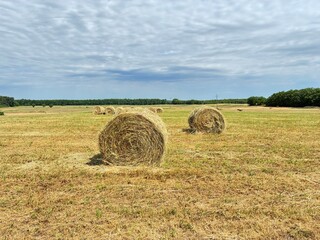 Straw bale nature.