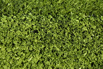 Bright green artificial grass texture, perfect for sports, landscaping, eco design, or summer-themed backgrounds.