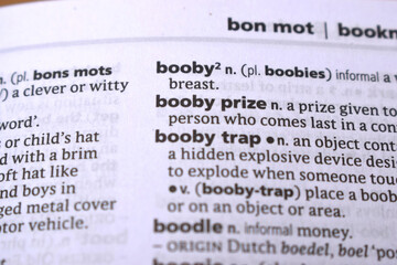 Close Up Of English Dictionary Page With Word - Booby Prize