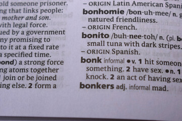 Close Up Of English Dictionary Page With Word - Bonito