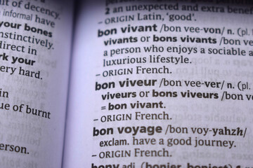 English Dictionary Definition Of Word - Bon Voyage