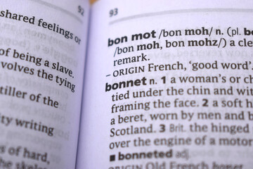 English Dictionary Definition Of Word - Bannet