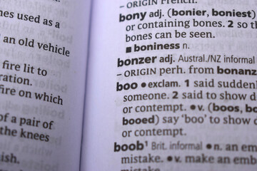 English Dictionary Definition Of Word - Bonzer