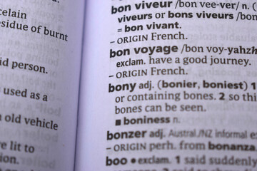 Close Up Of English Dictionary Page With Word - Bony