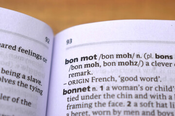 English Dictionary Definition Of Word - Bon Mot