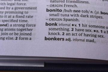 English Dictionary Definition Of Word - Bonk
